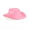 Pink Cowboy Hat - Felt Cowboy Hats for Men, Women, Western Cowgirl Hat for Costume Birthday Bachelorette Party (Adult Size)